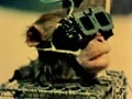 Weapon Effects Video Library
