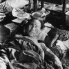 Hibakusha