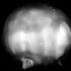 Smokey Plumbbob