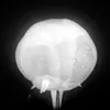 Smokey Plumbbob